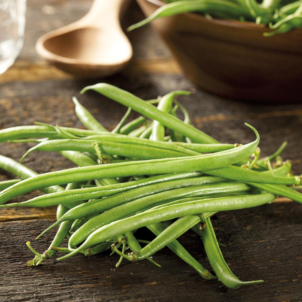 Compass, Bean Seeds Urban Farmer